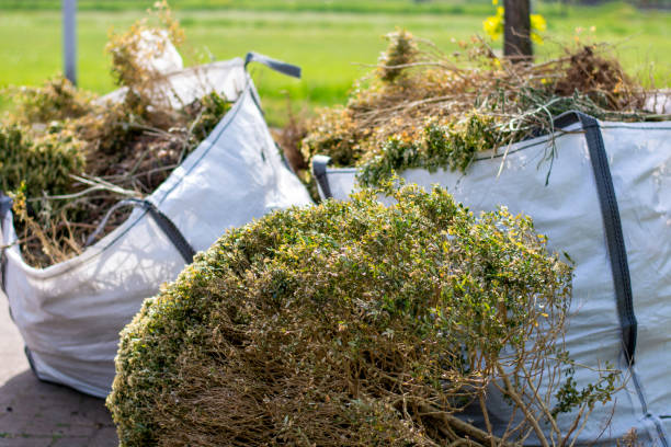 Best Local Junk Hauling  in North Weeki Wachee, FL